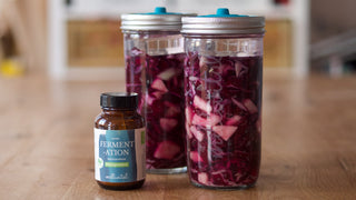 Rezept Rotkohl micro-fermentiert